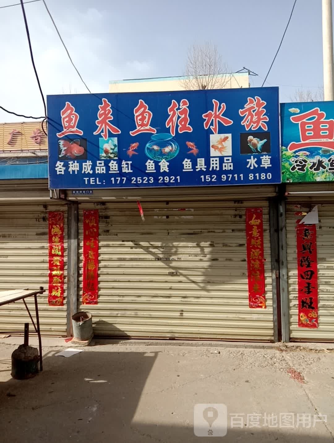 鱼来鱼往水族