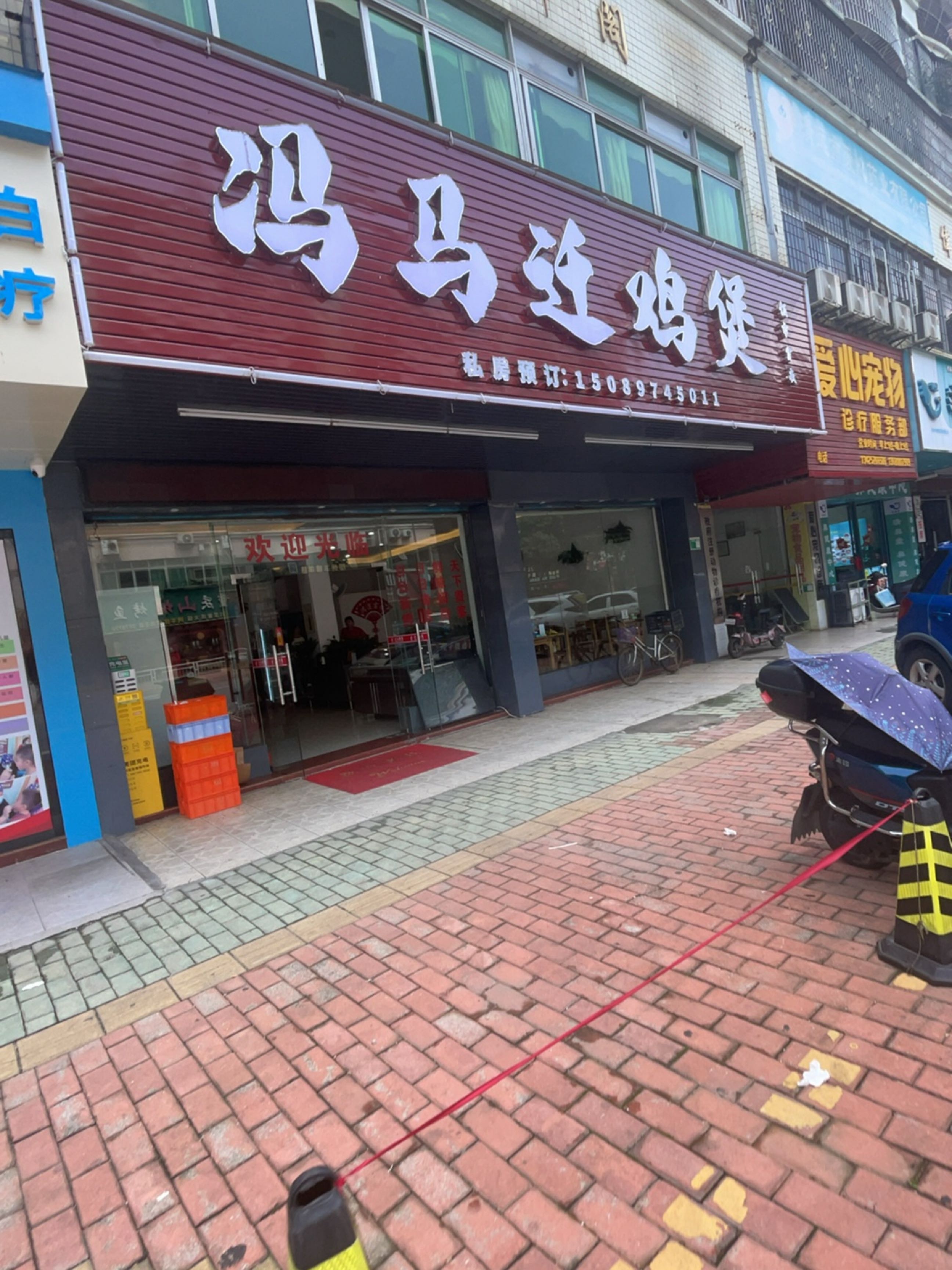 冯马迁鸡宝