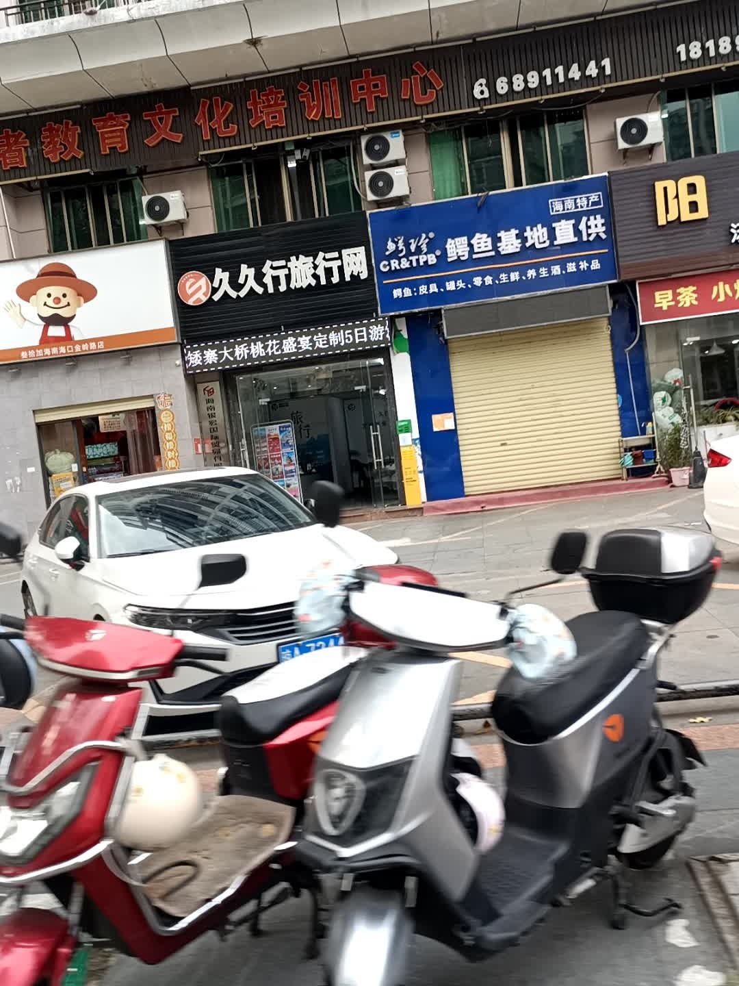 鳄鱼基地直供(金岭路店)