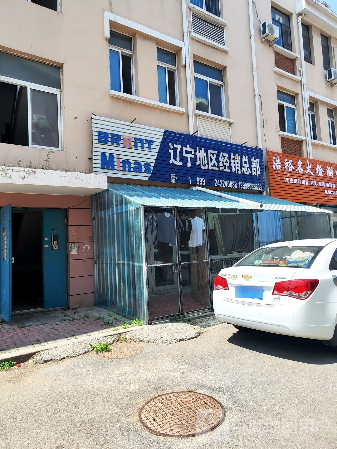 浩裕名犬检测中心