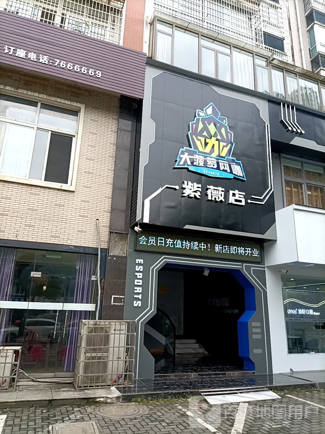 大菠萝王卡(紫薇店)