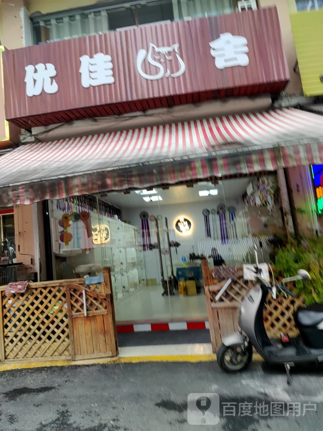 优佳猫舍(广西花鸟交易市场店)