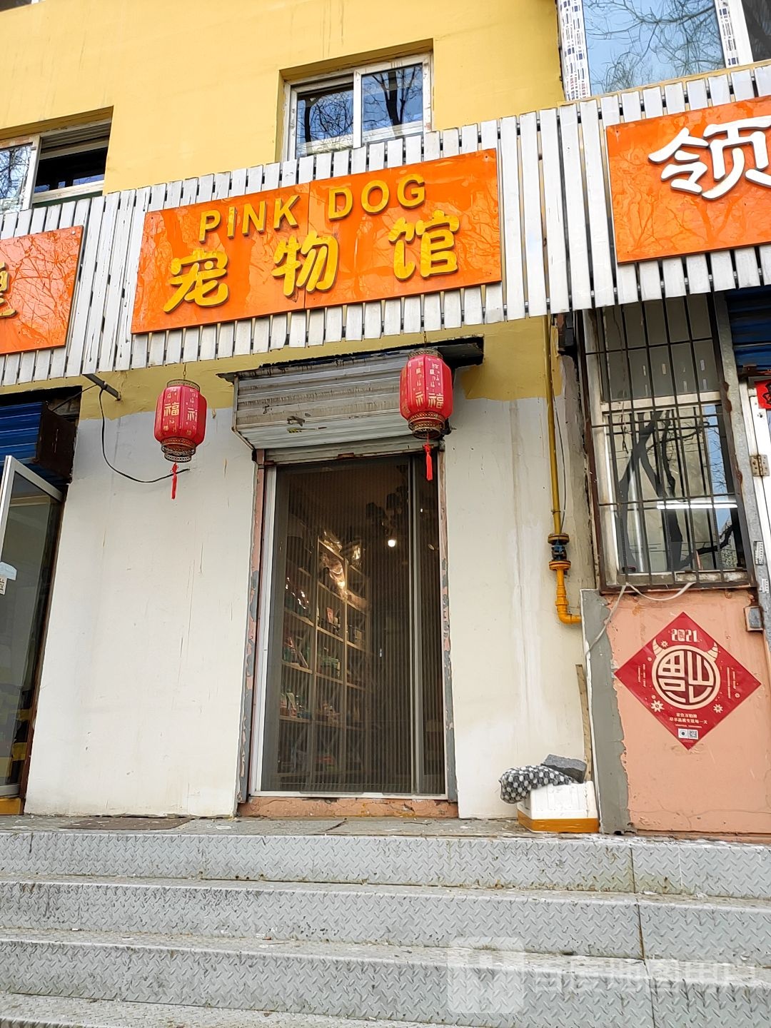 PinkDog宠物馆