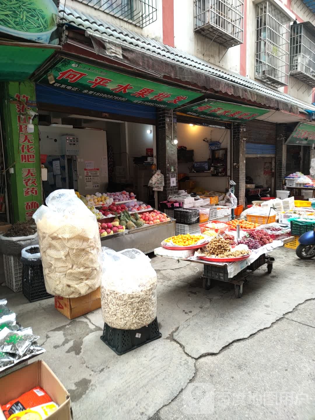 何平水果批发