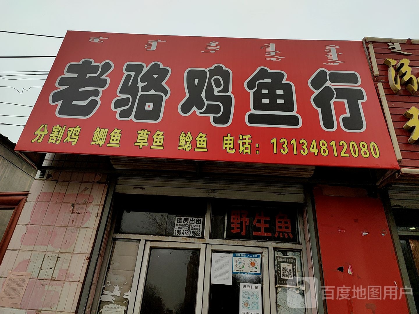老骆鸡鱼行