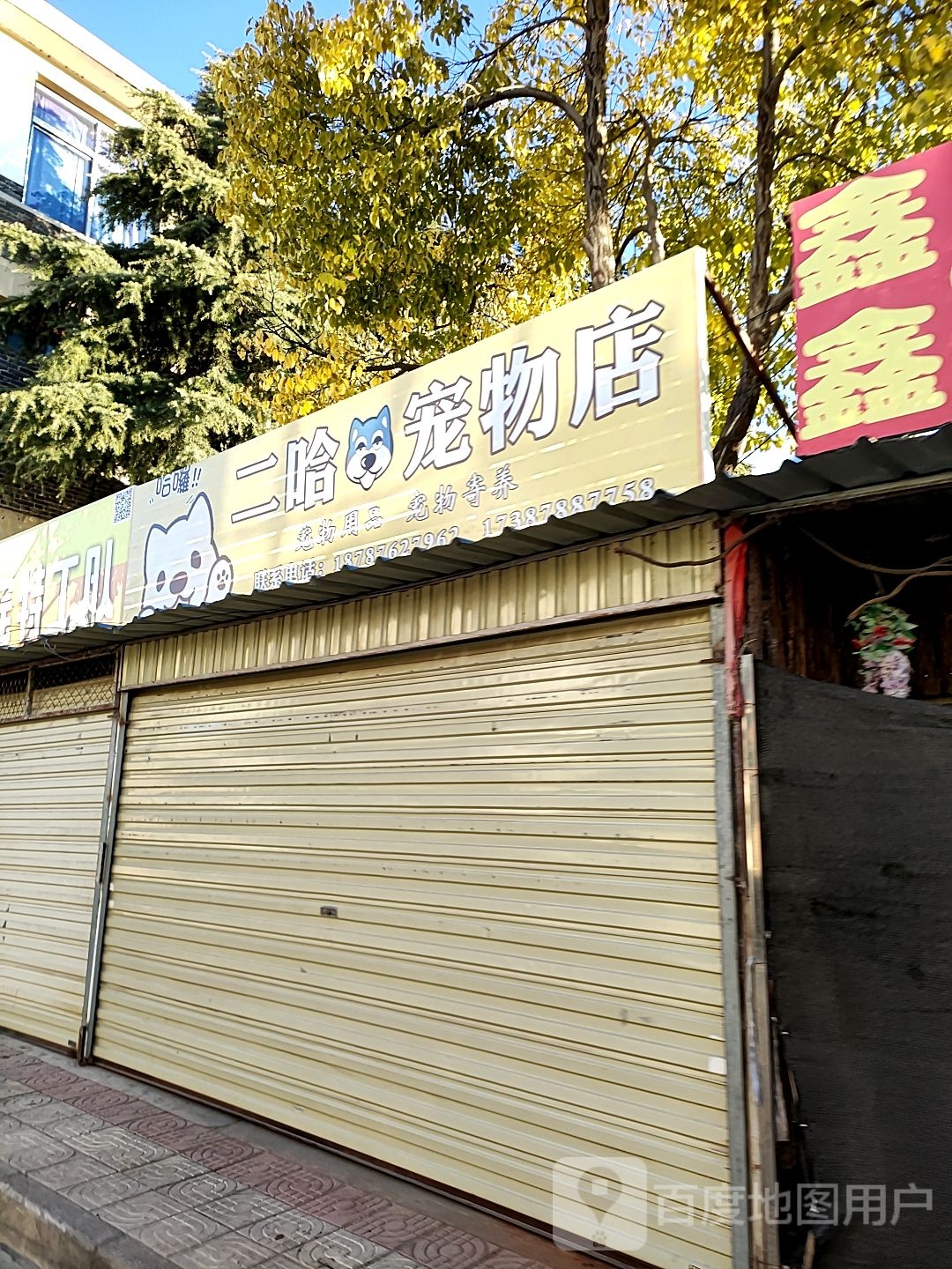 二号宠物店