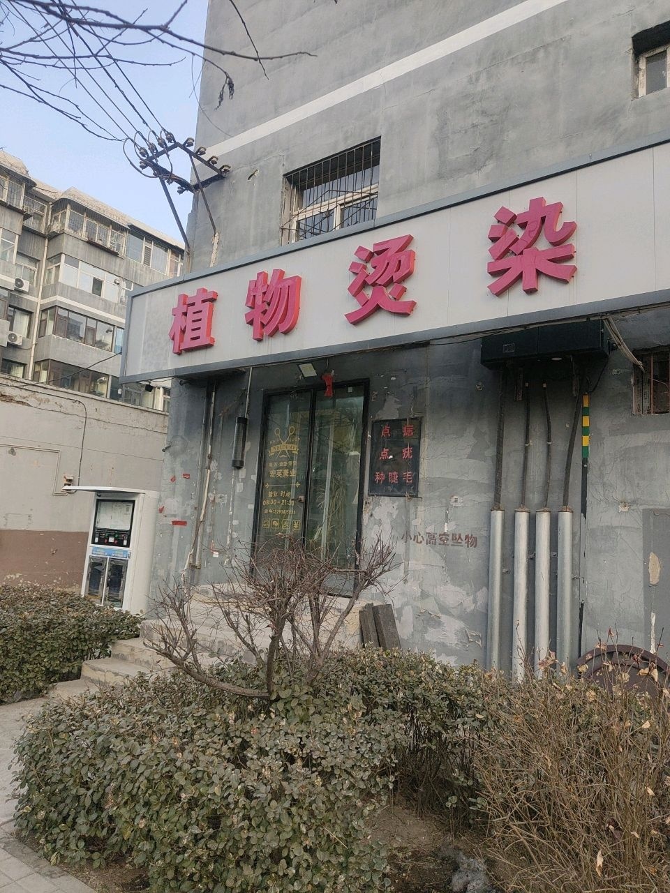 植物烫染