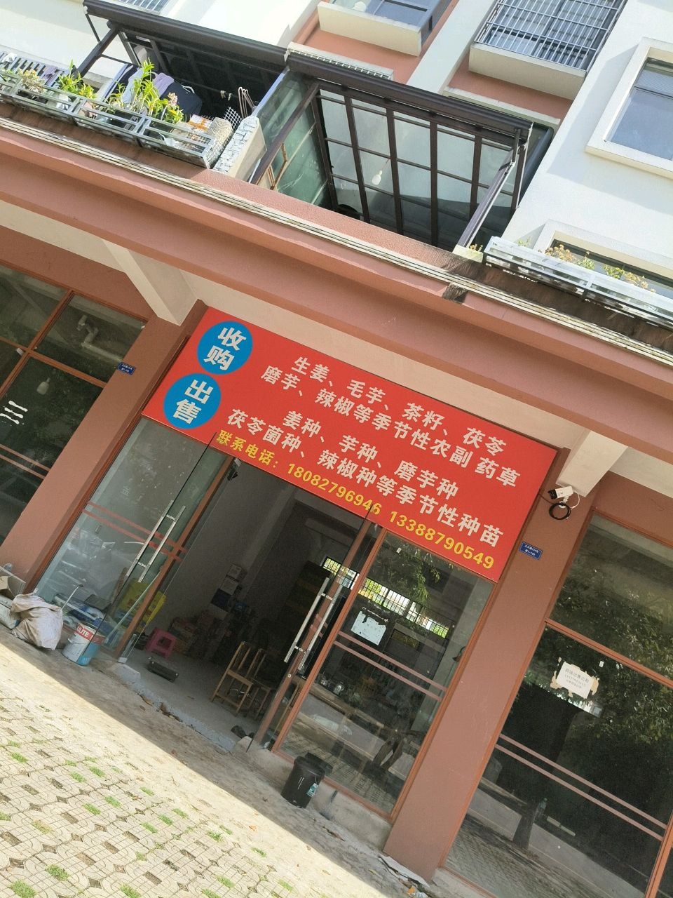 收购出售生姜,毛芋