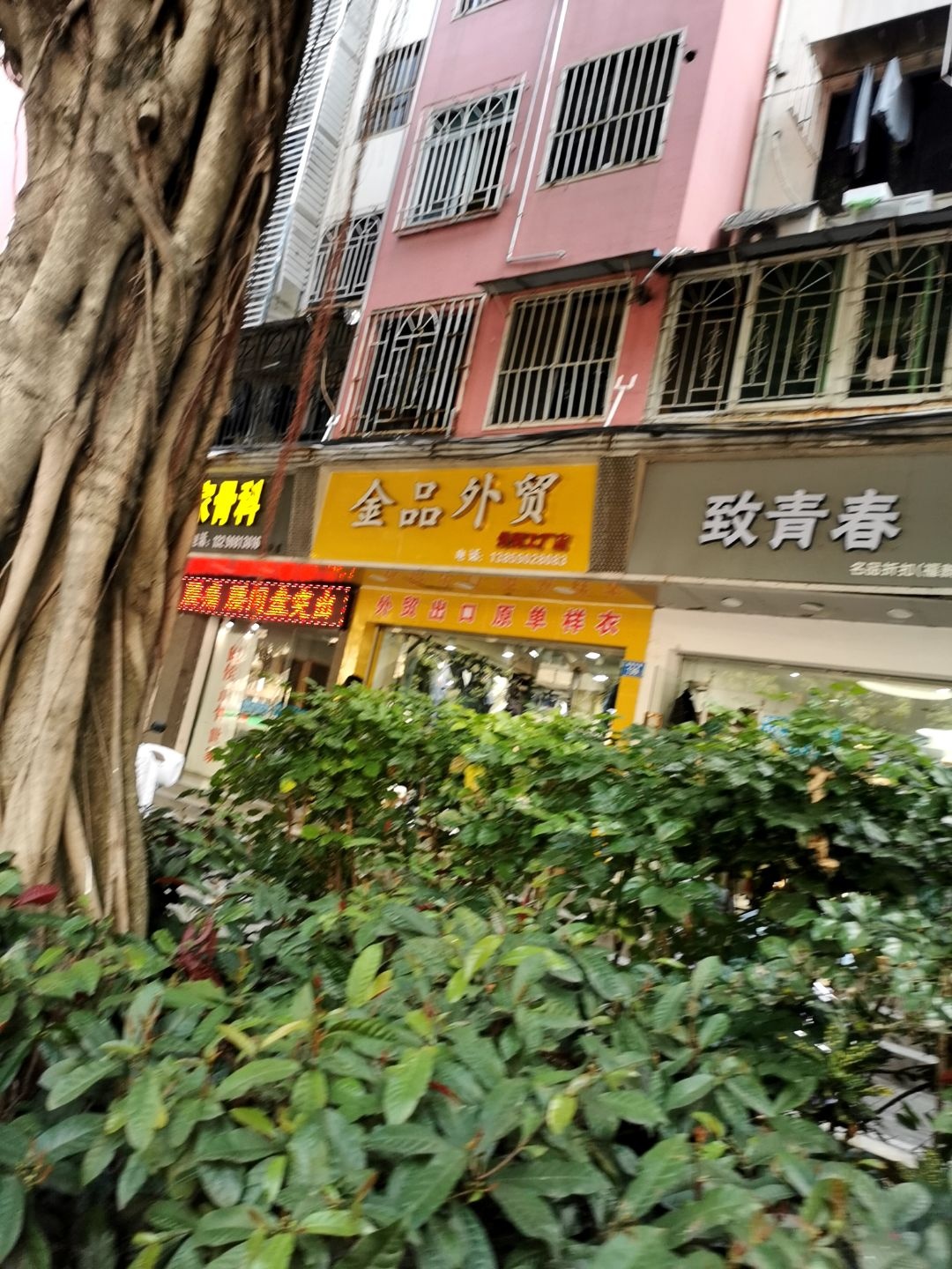 致青春(福新中路店)