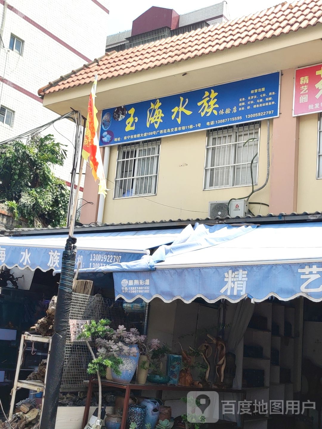 玉海水族(花鸟市场店)