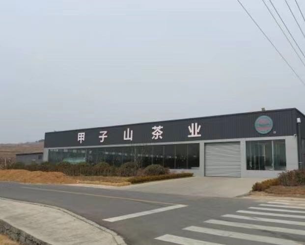 甲子山茶业