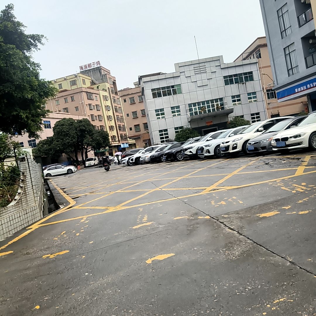 海南椰子鸡(世荣店)