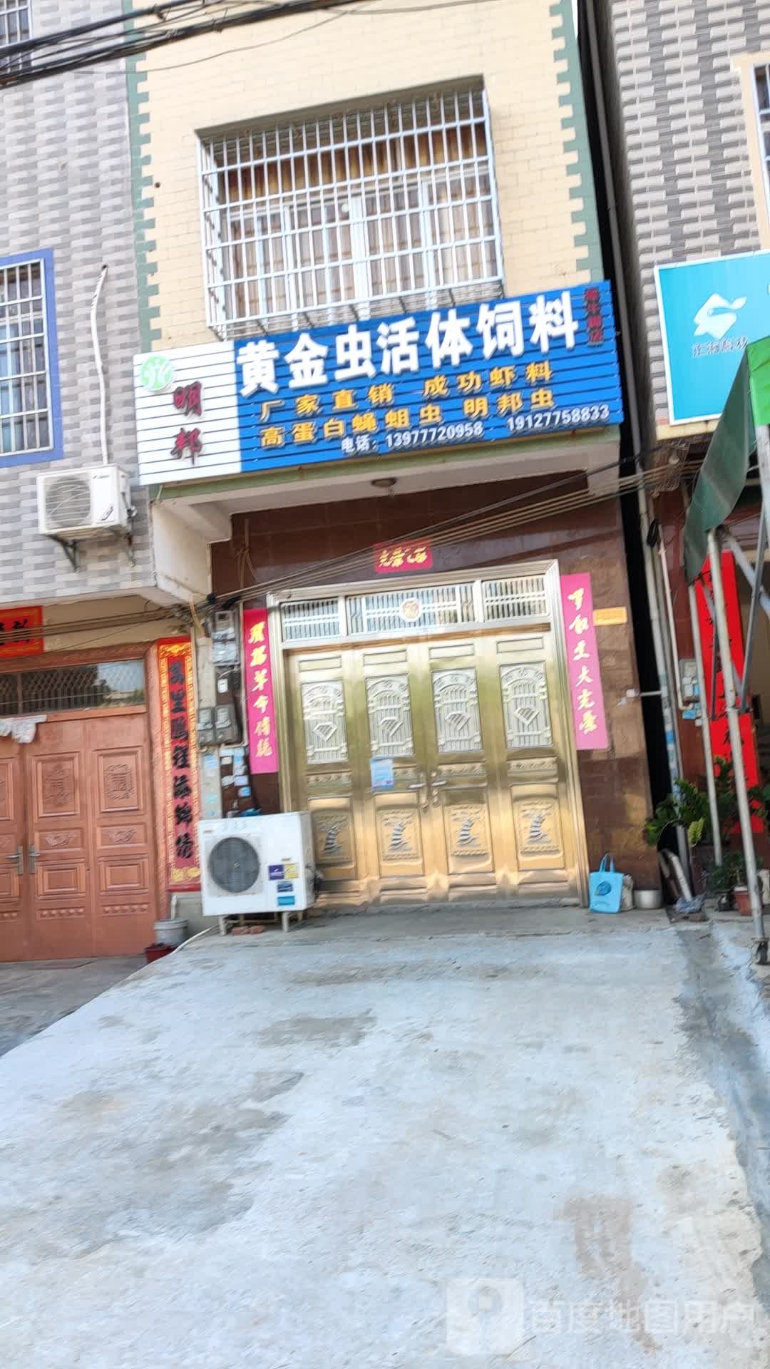 明邦黄金虫活体饲料