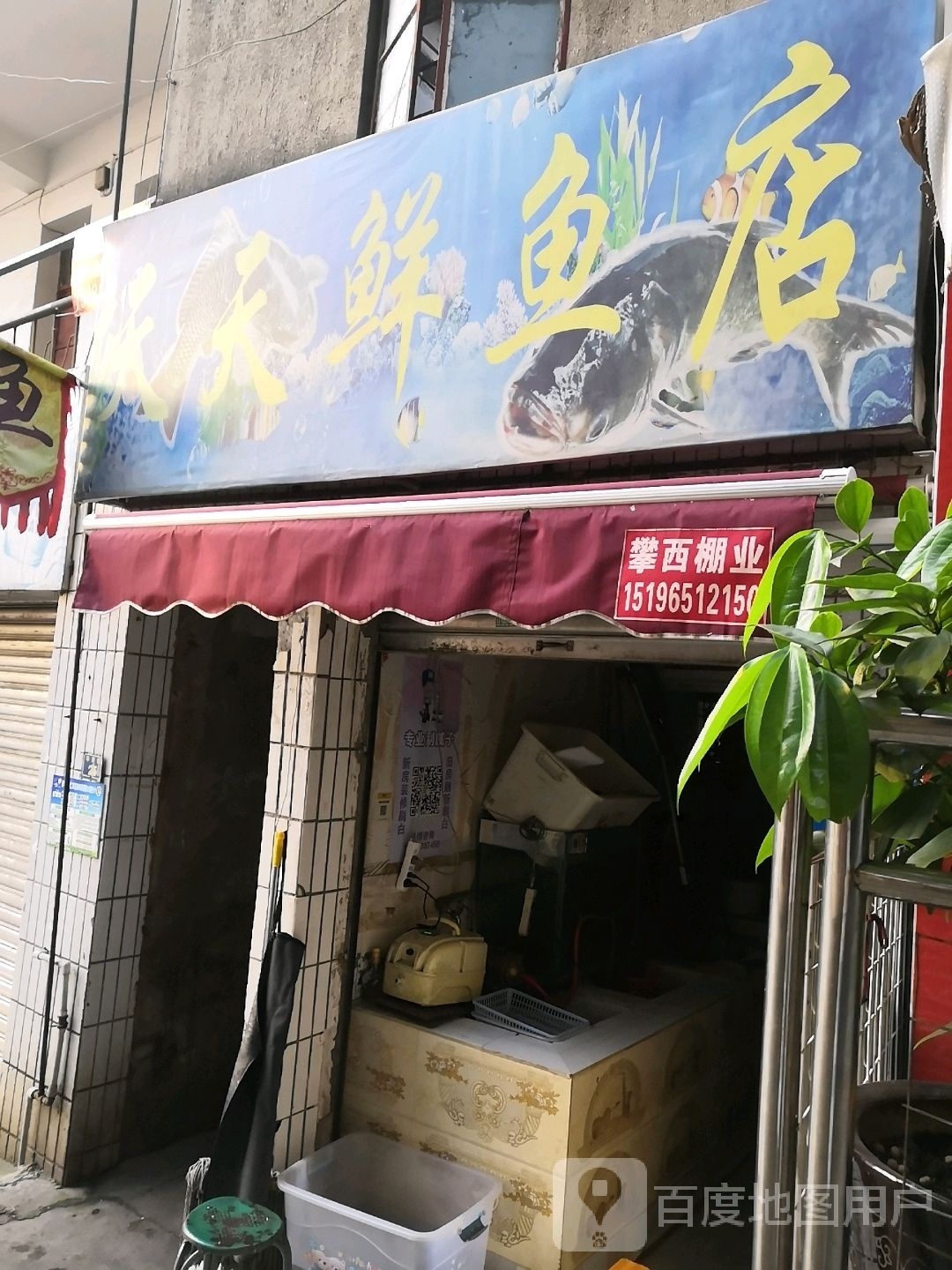 天天鲜鱼店