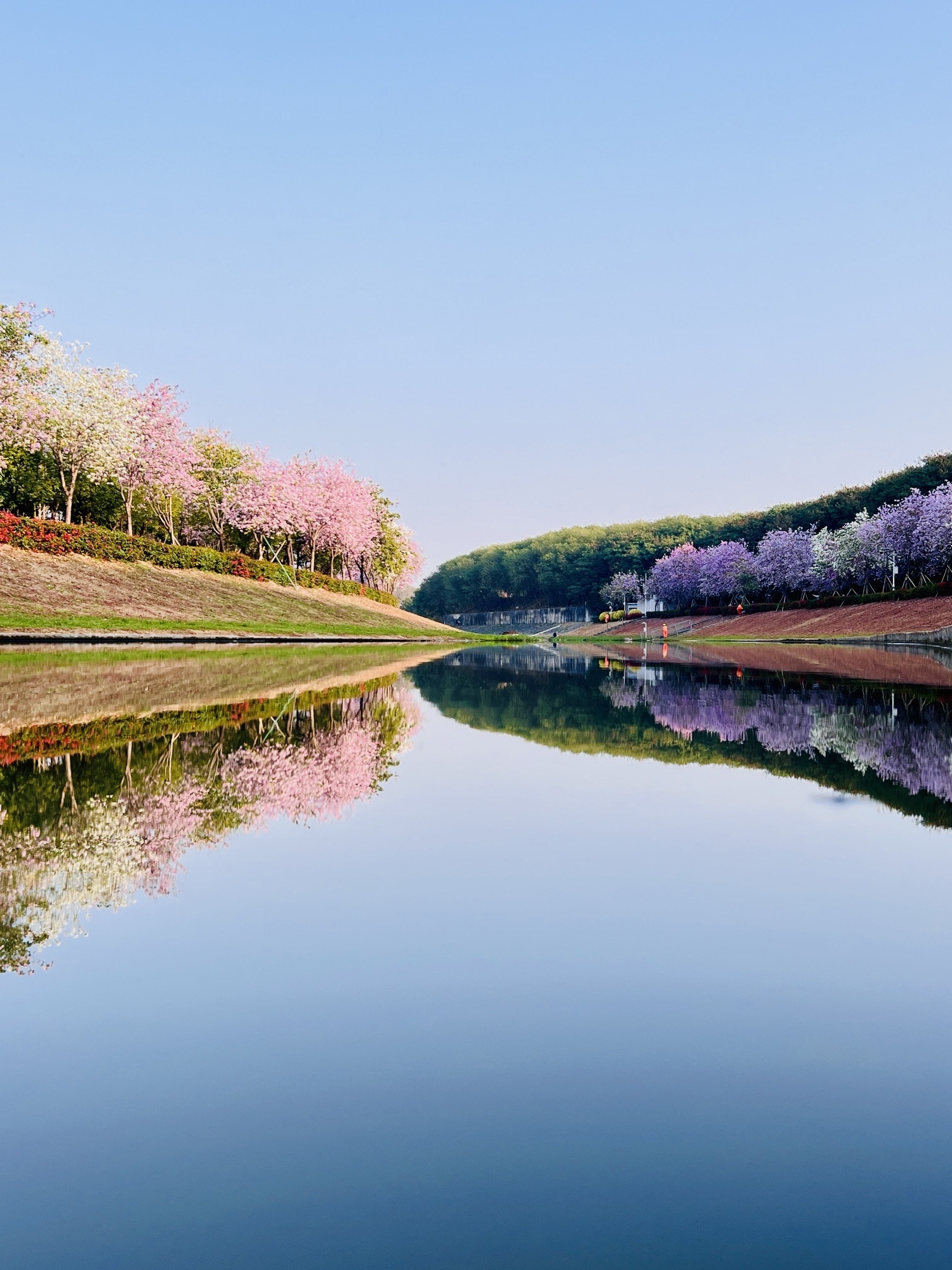 光明区鹅颈水湿地公园