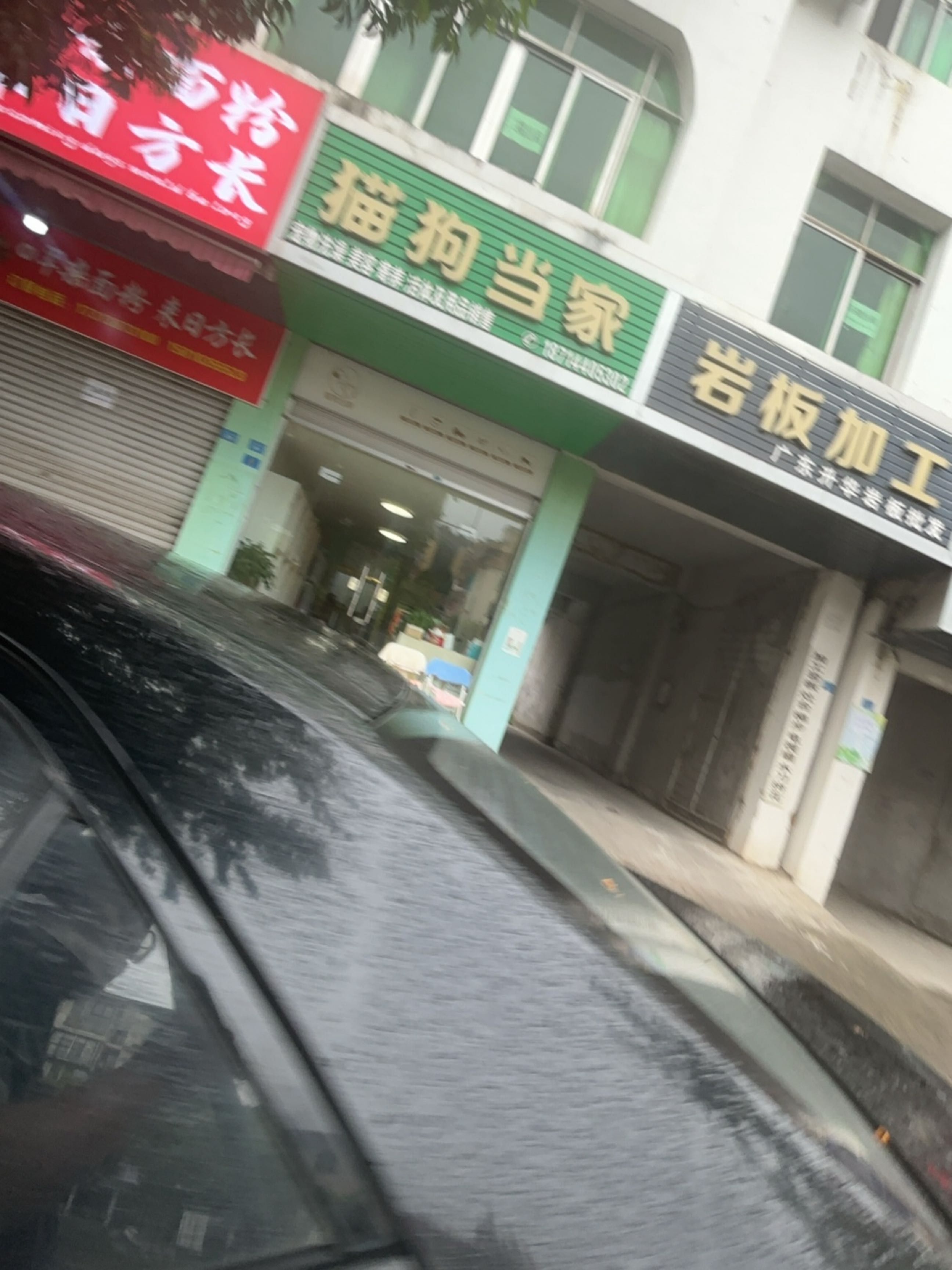 猫狗当家(七里大道店)