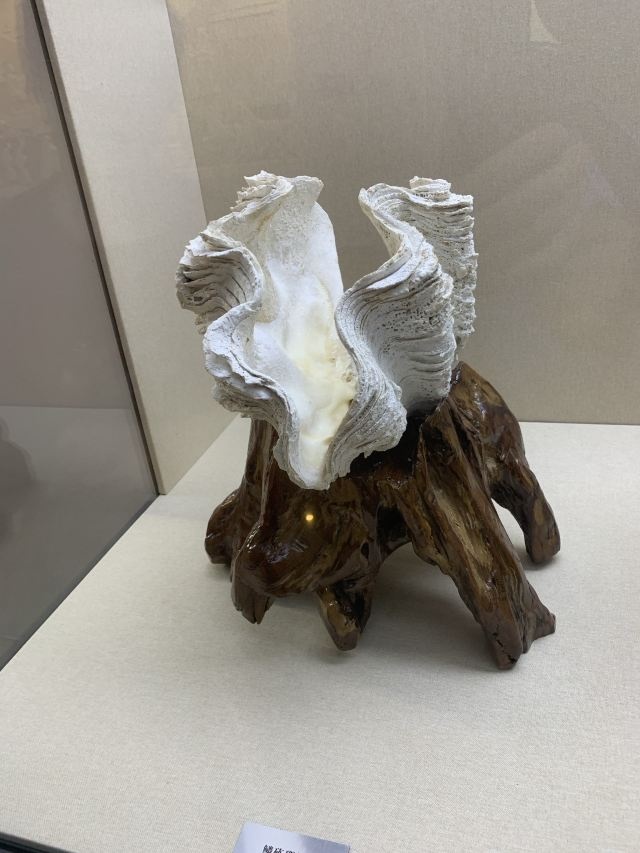 三亚山海贝文化博物馆