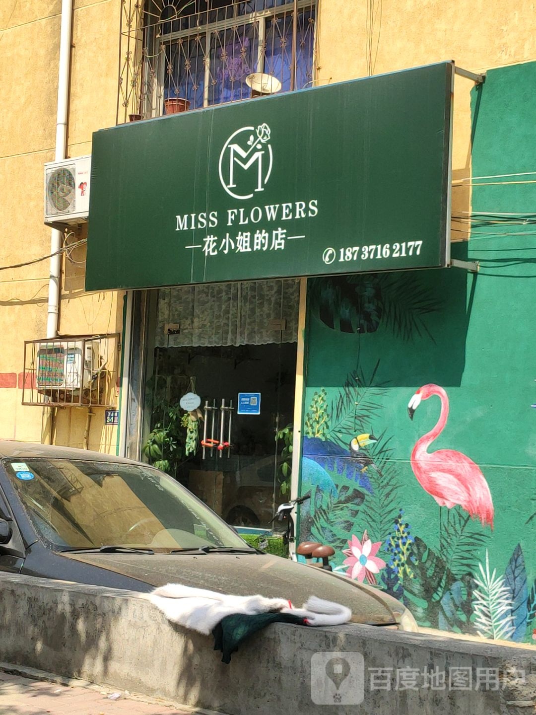 荥阳市花小姐的店