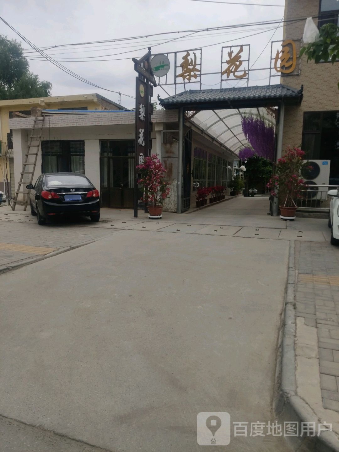 梨花景区园