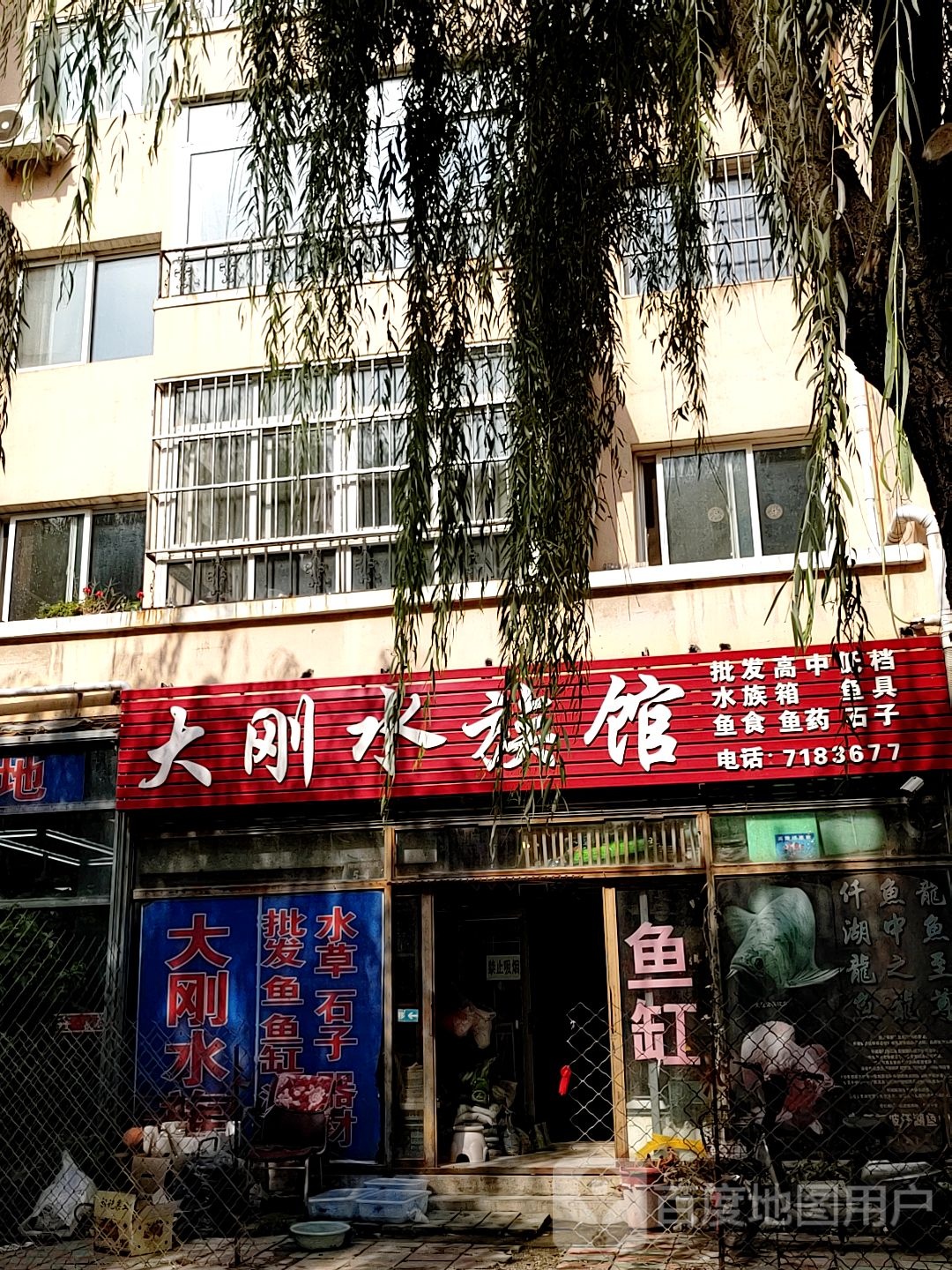 大刚水族(和平家园店)