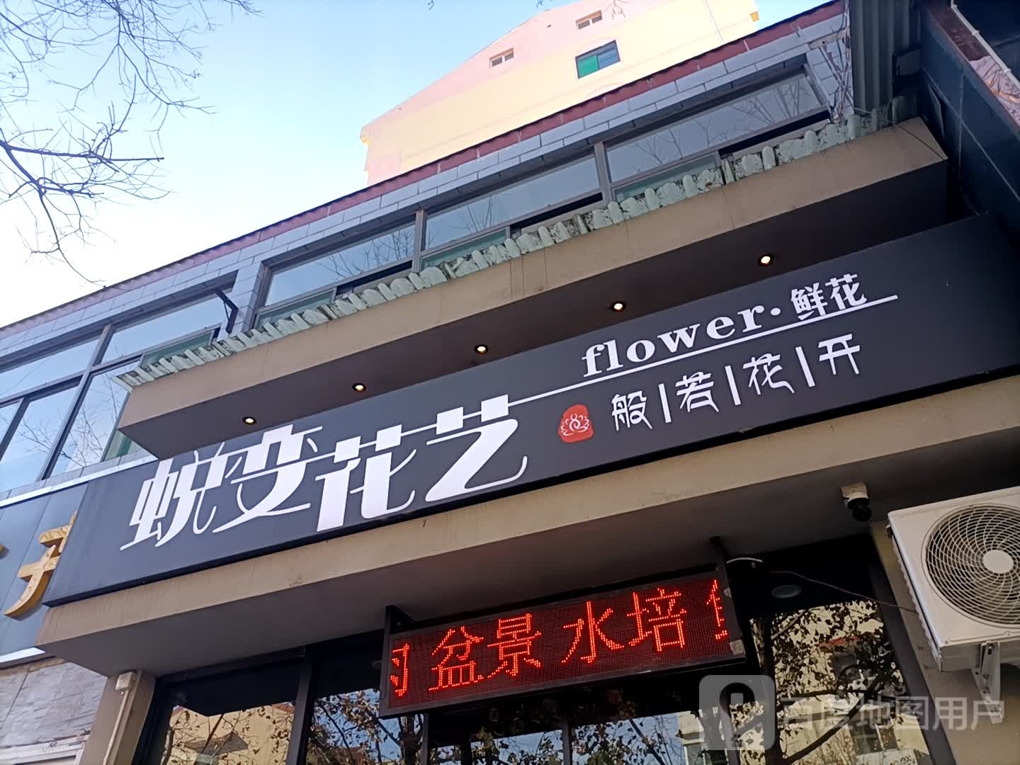 蜕变花一(宁波路店)
