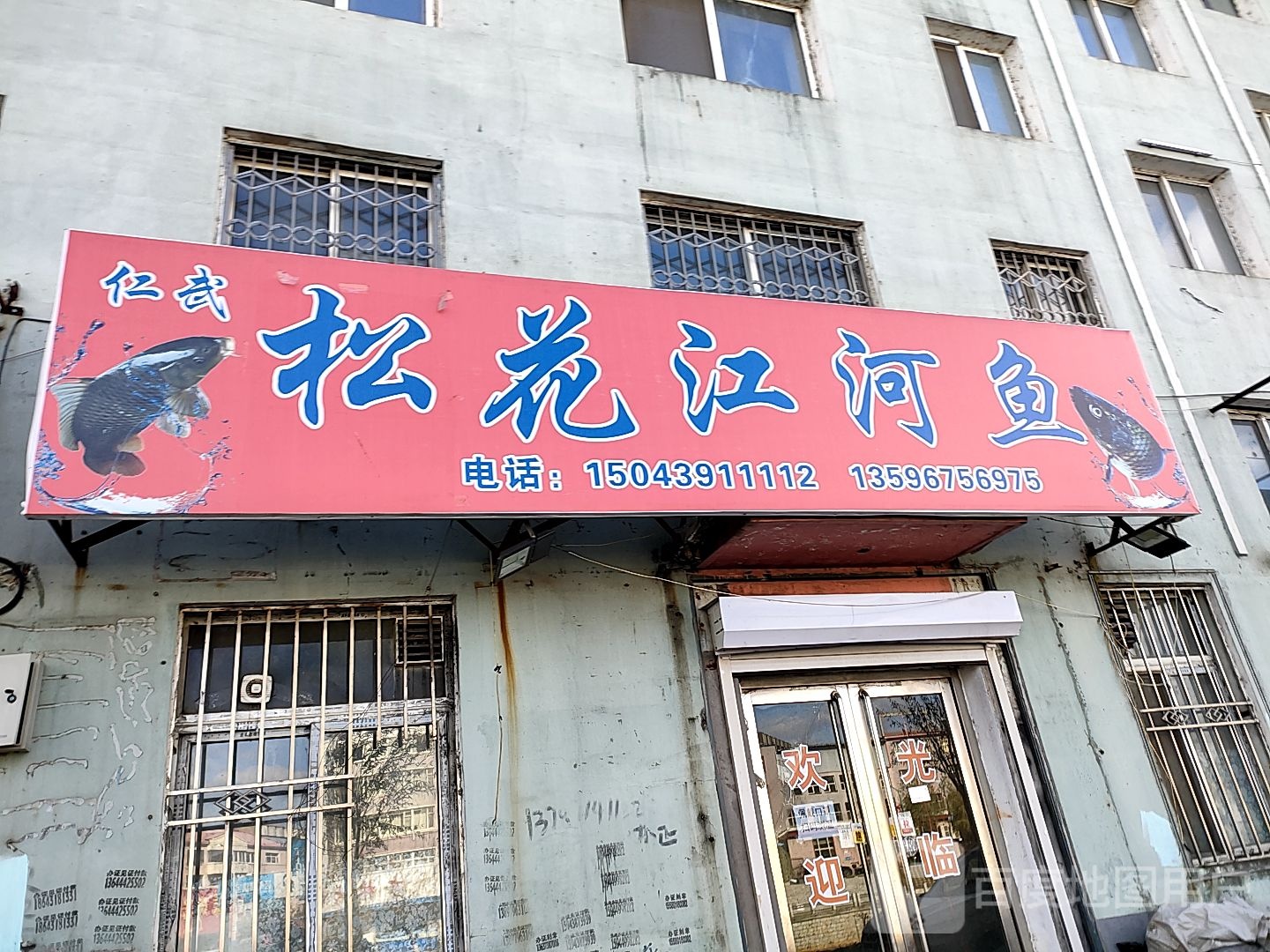 仁武松花江河鱼