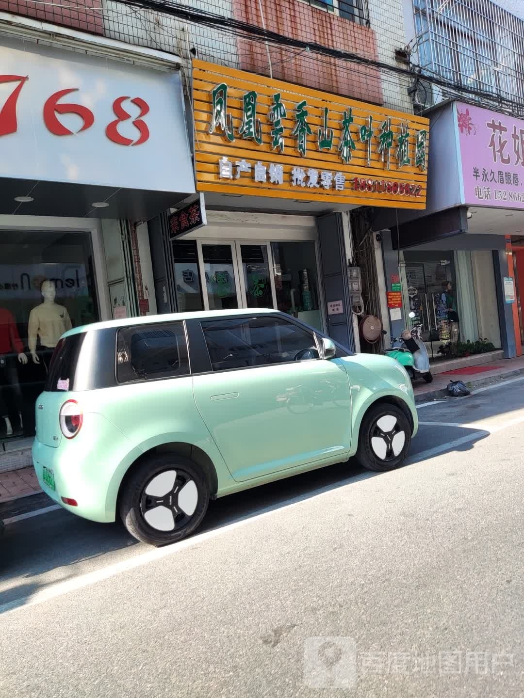 凤凰云香山茶叶种植园