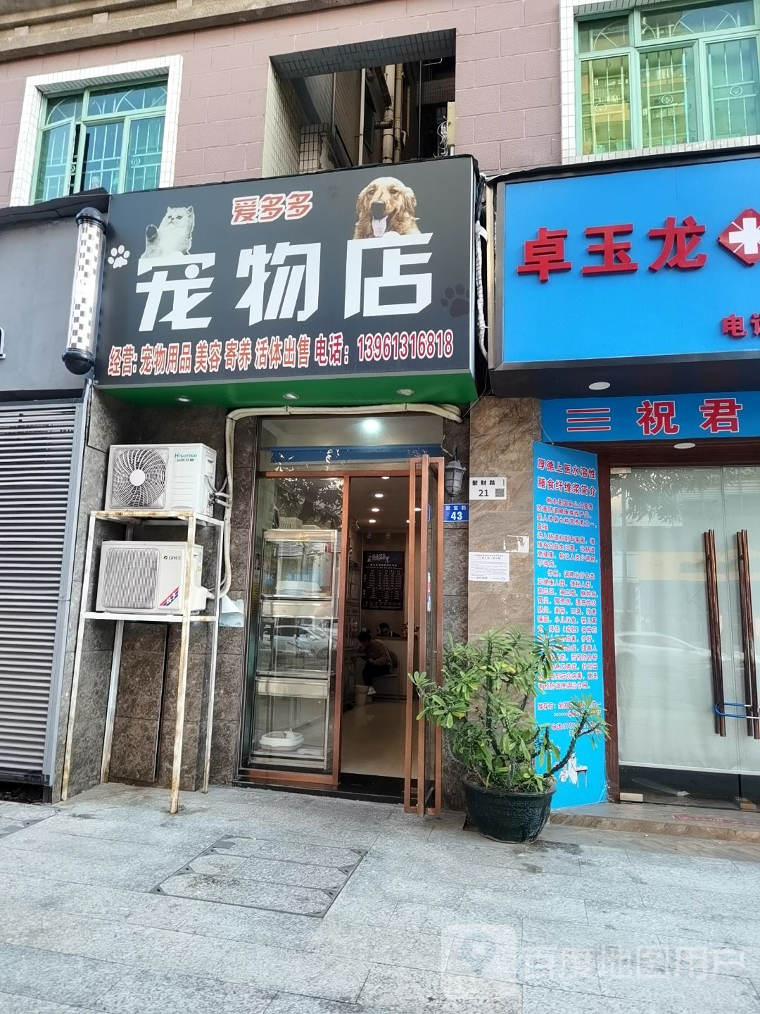 爱多多宠物店