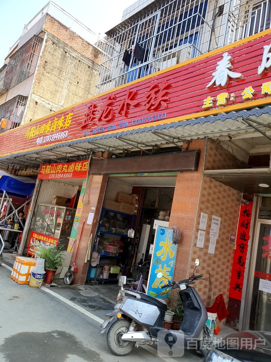 盘龙水族
