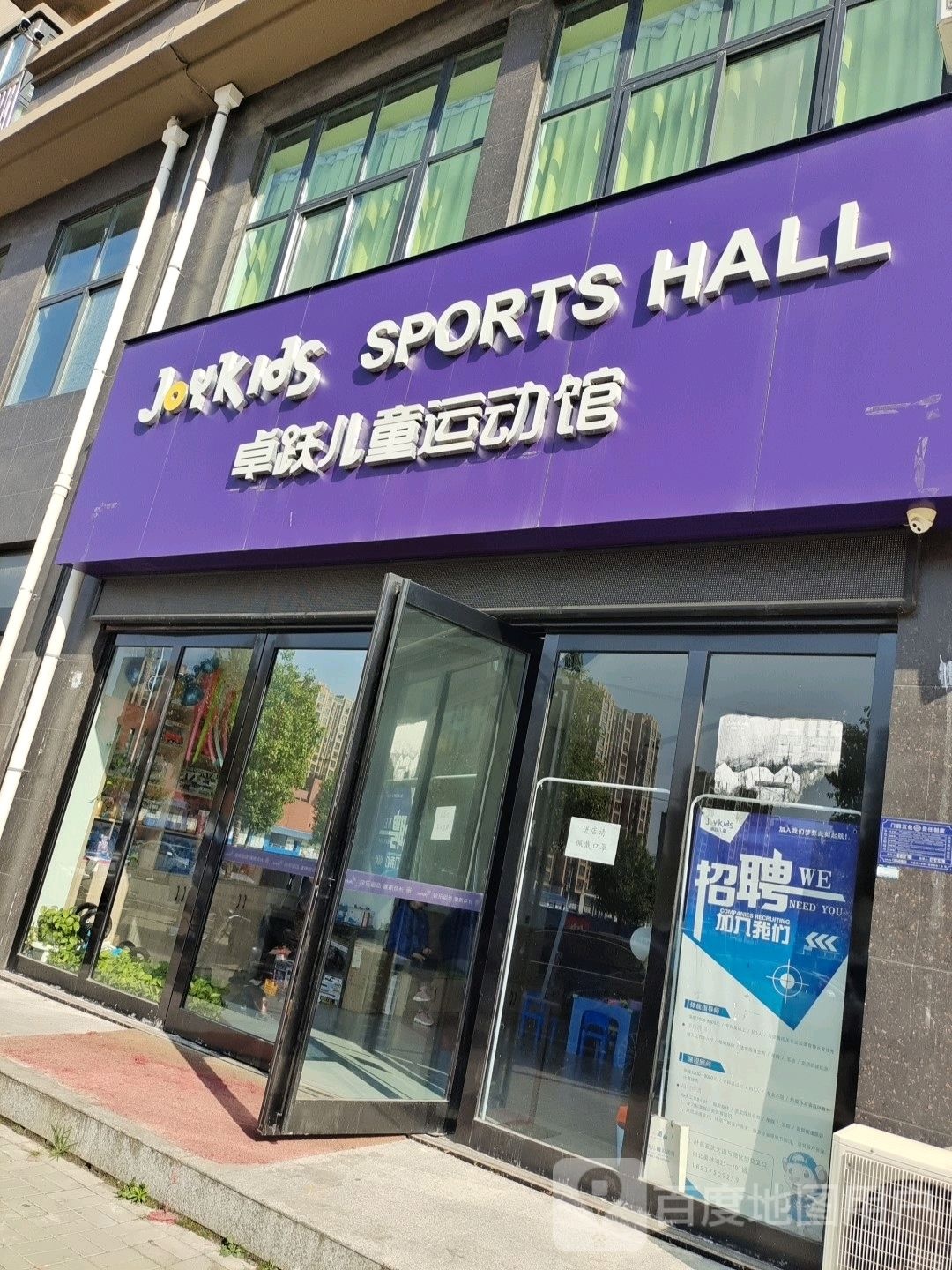 卓跃儿童运动馆(叶县店)