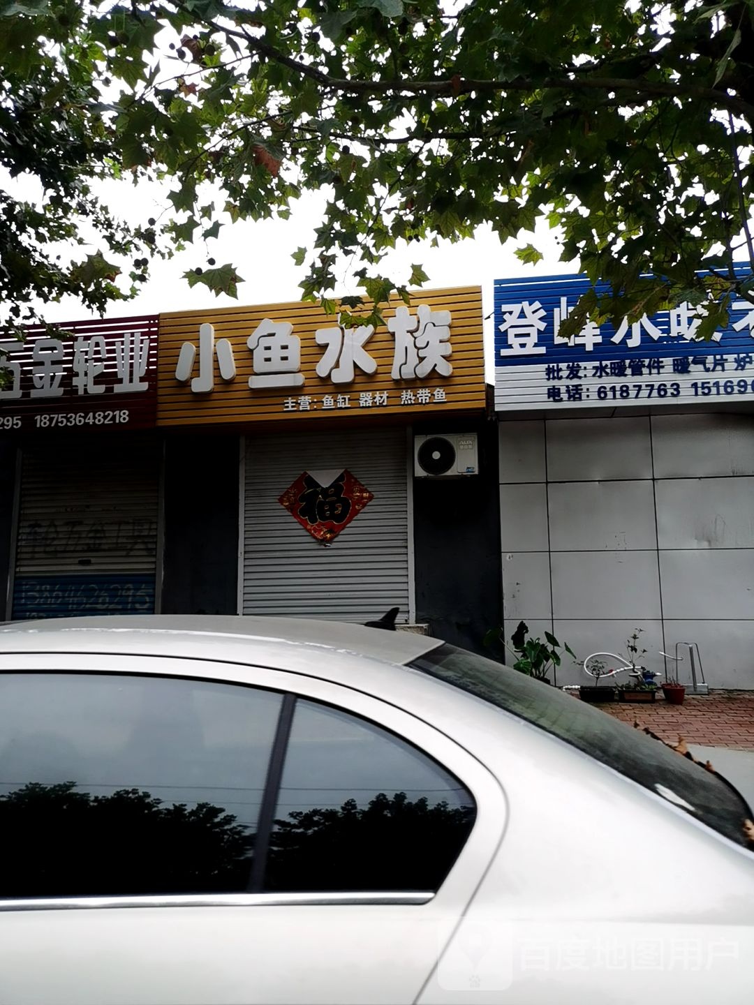 小鱼水族
