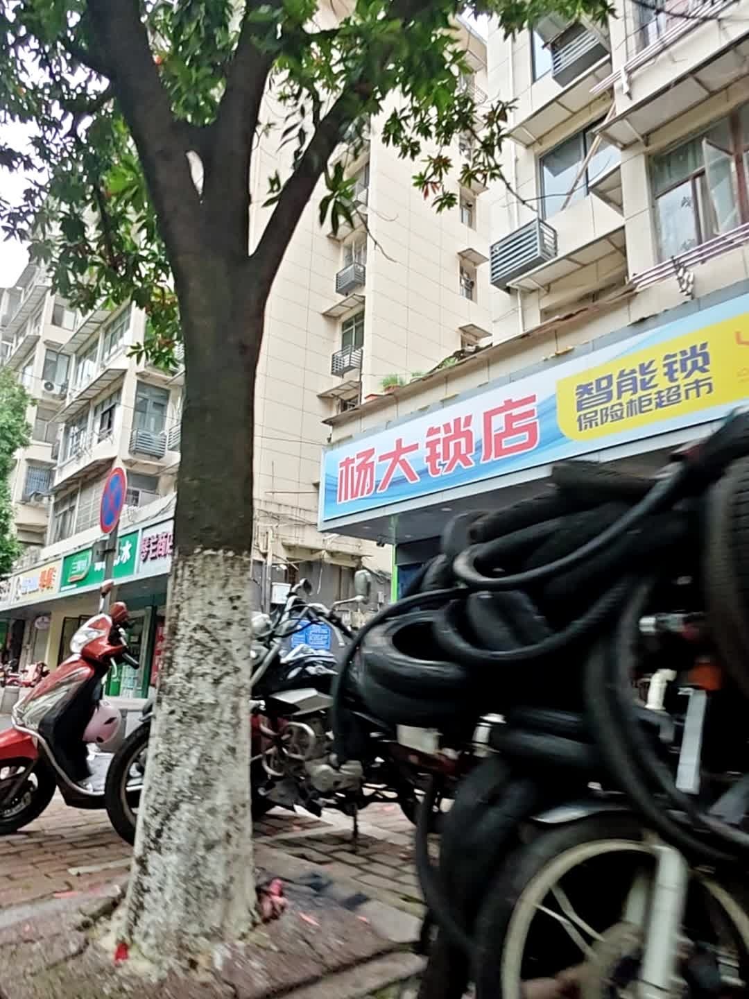 杨大锁店