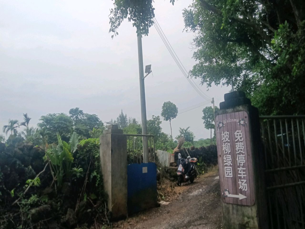坡柳绿园
