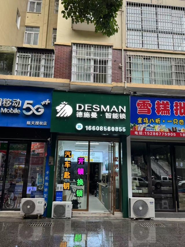 德施曼智能锁开锁换锁(西外环大道店)