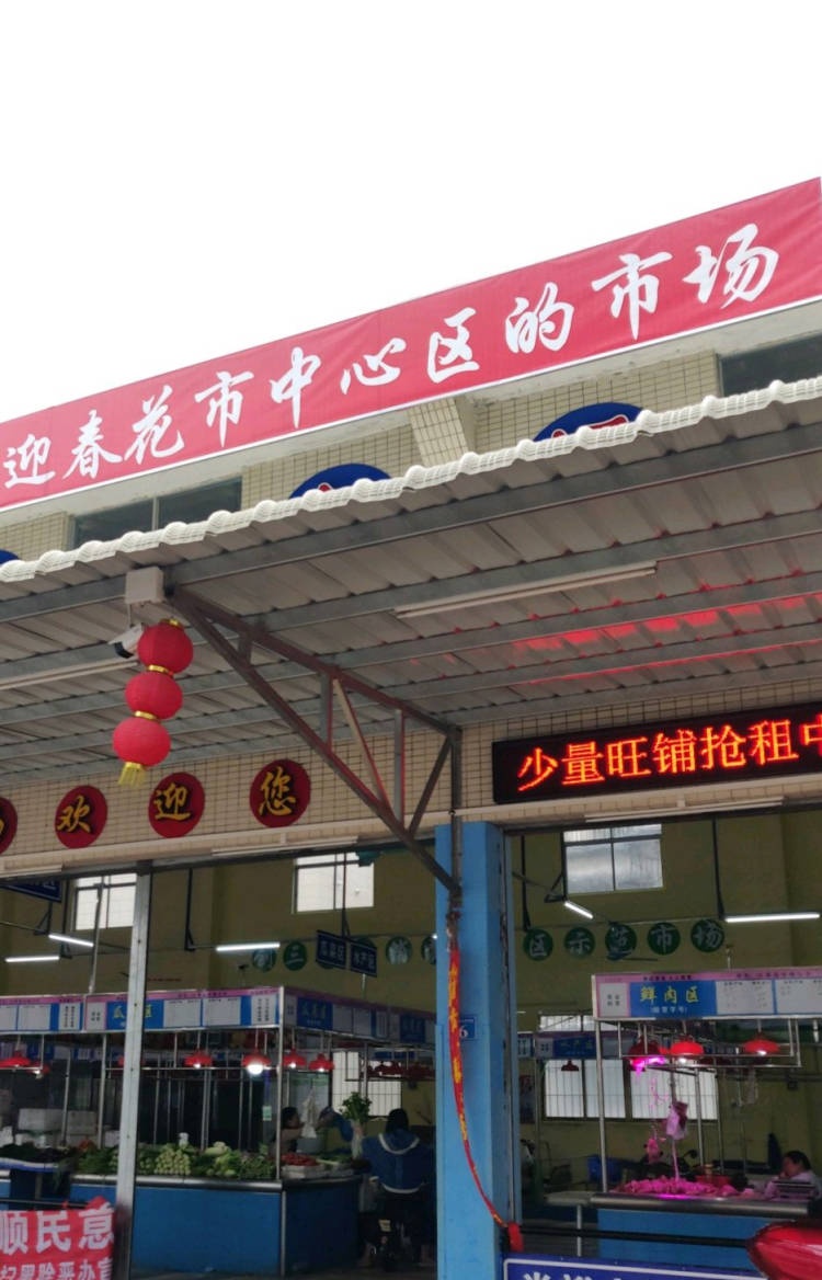 东莞市迎春花市