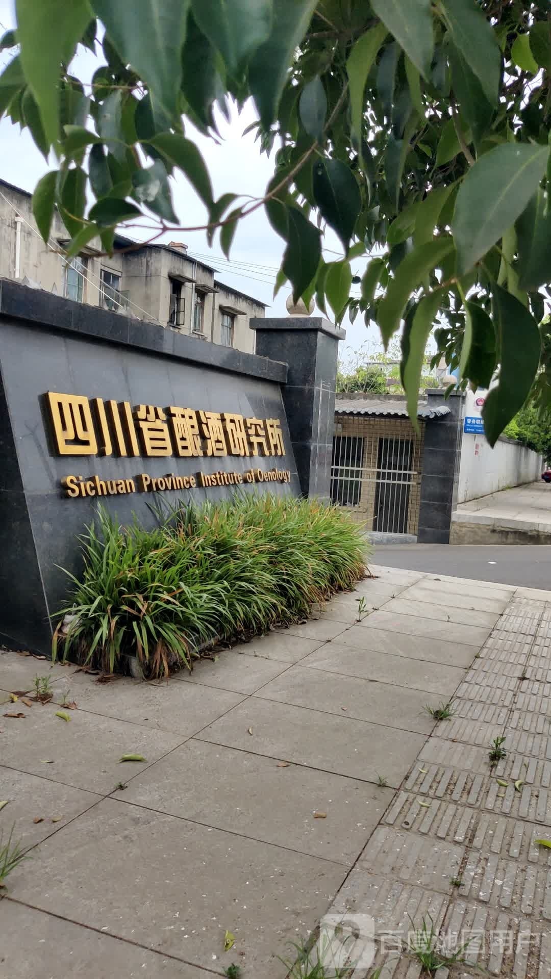 四川省酿酒研究所-南门