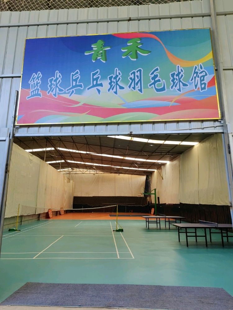 青禾篮球乒乓球羽毛球馆