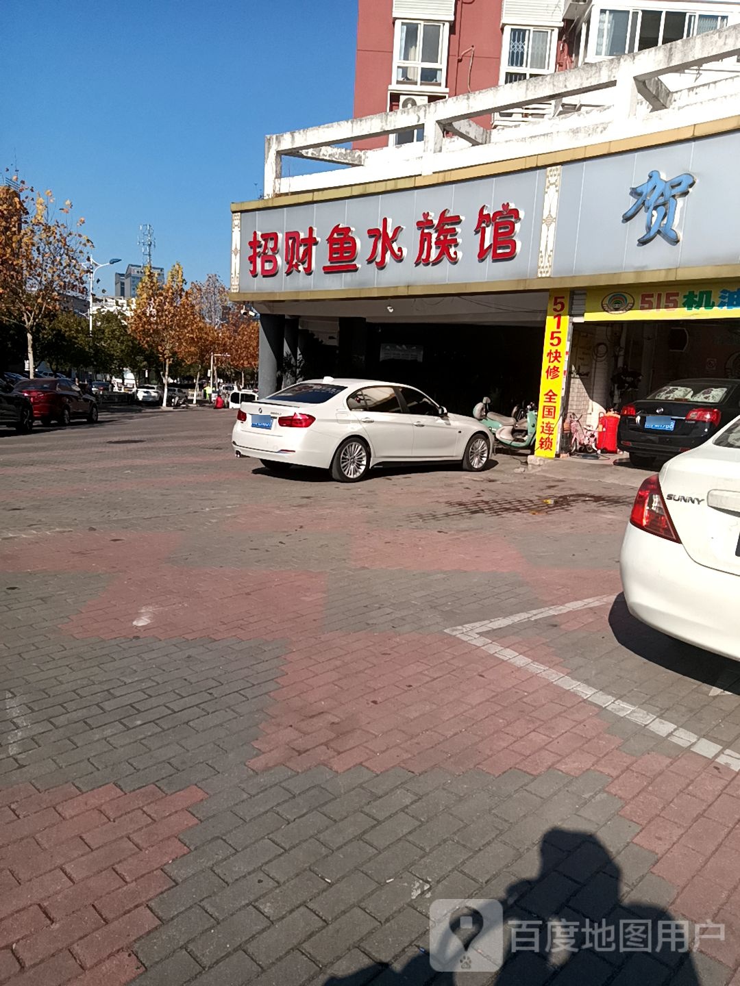 招财鱼水族馆(祥和家园西区店)