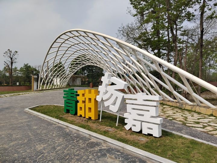 青甜扬嘉楠树公园