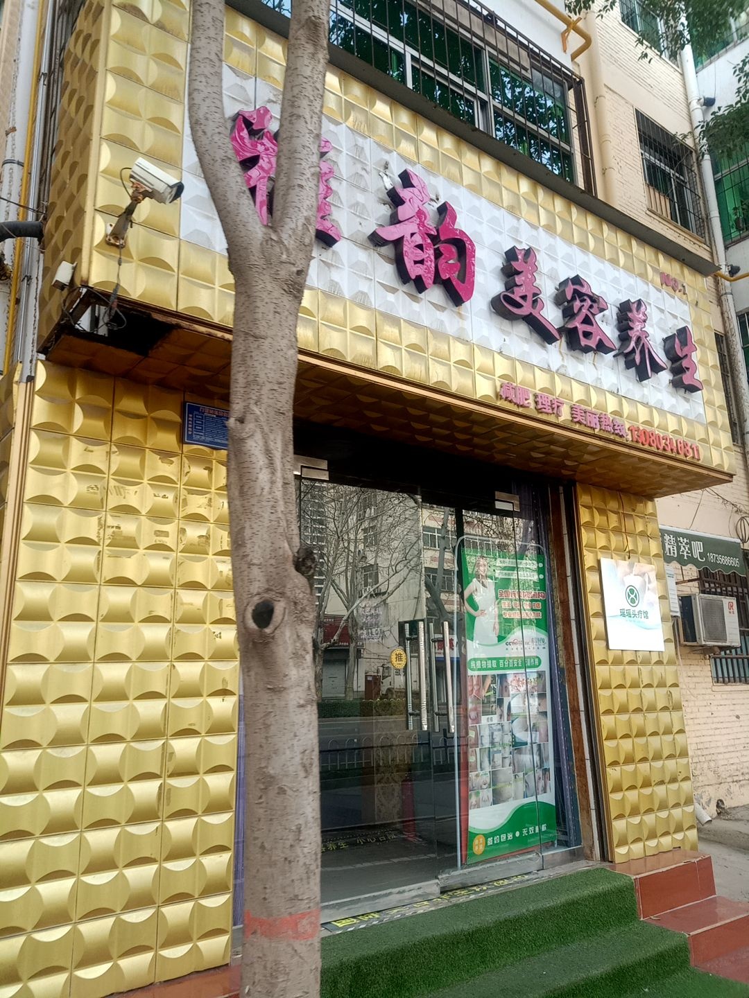 国际美容养生