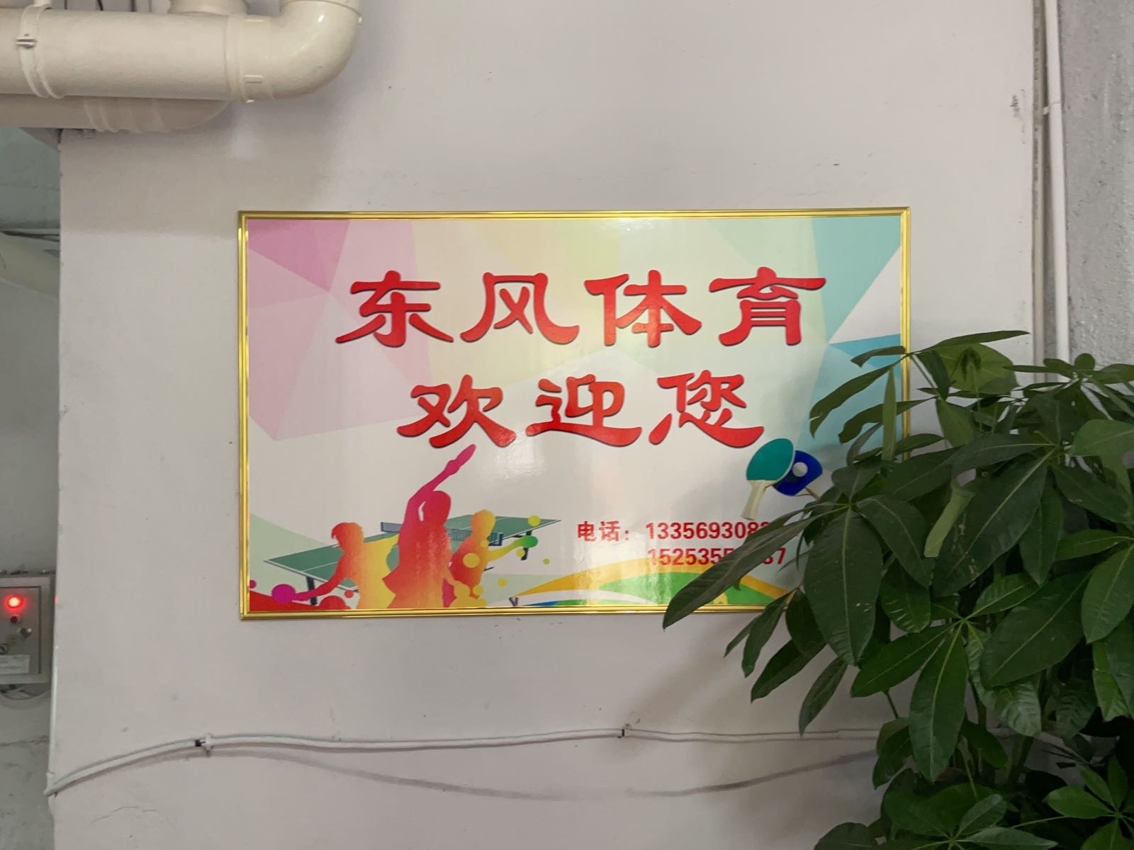 东风乒乓球俱乐部