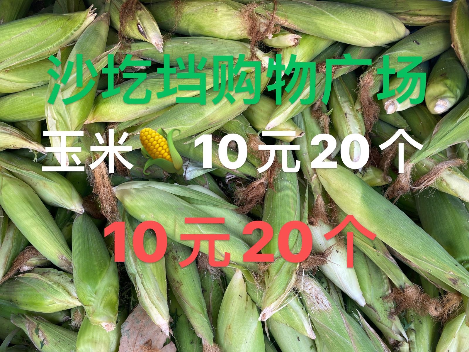 沙圪垱购物广场