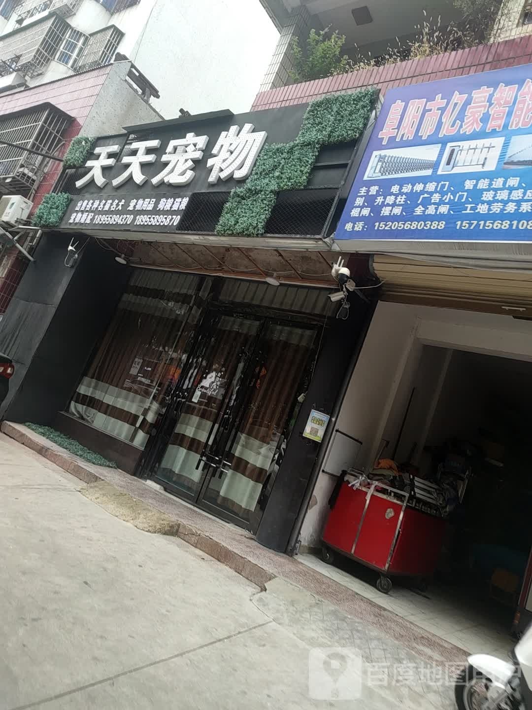 天天宠物
