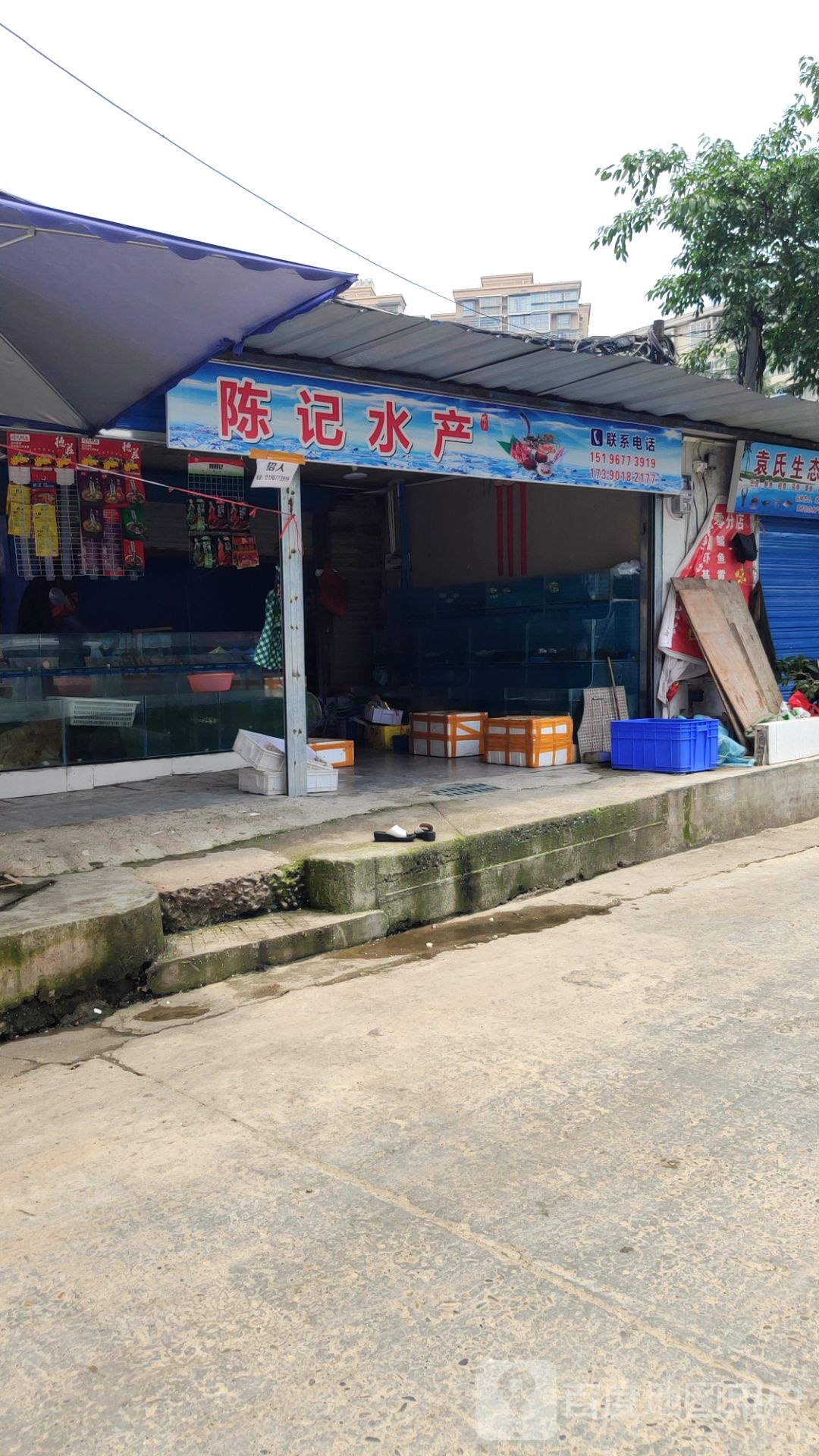 陈计水产