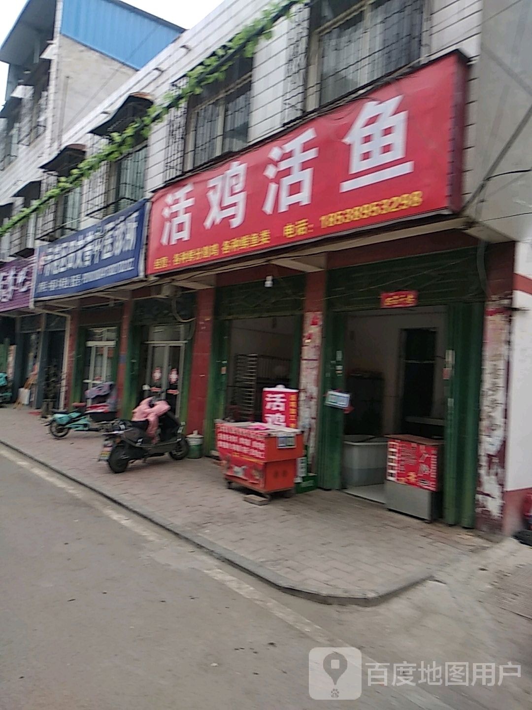 活鸡活鱼(嵩山路店)