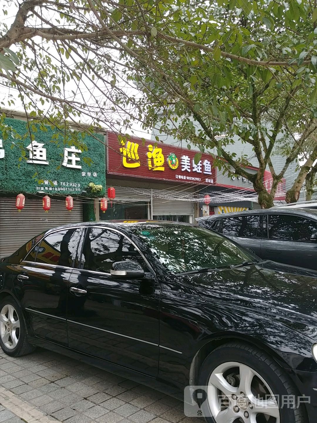 巡渔美蛙鱼