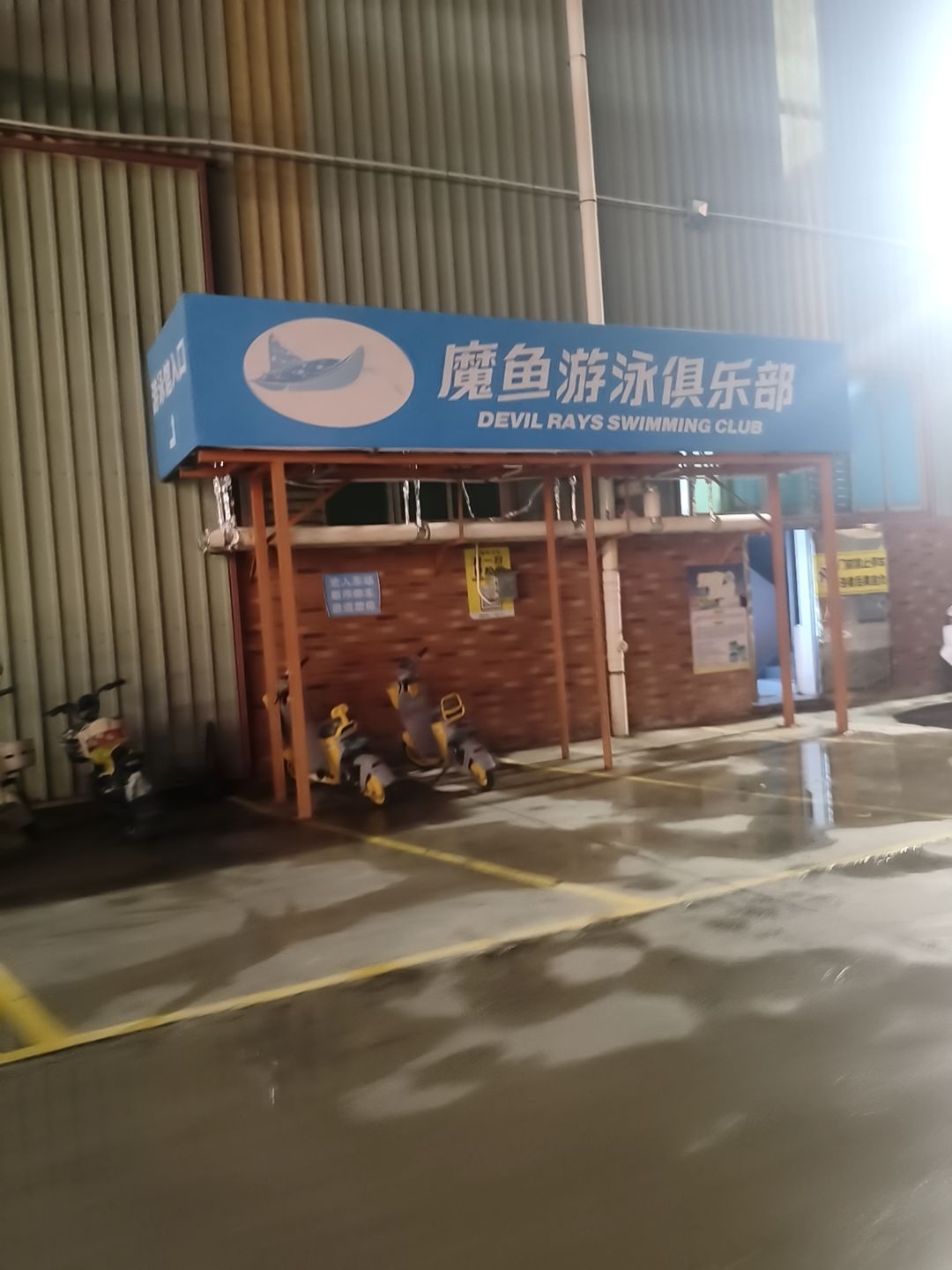 魔鱼游泳俱乐部