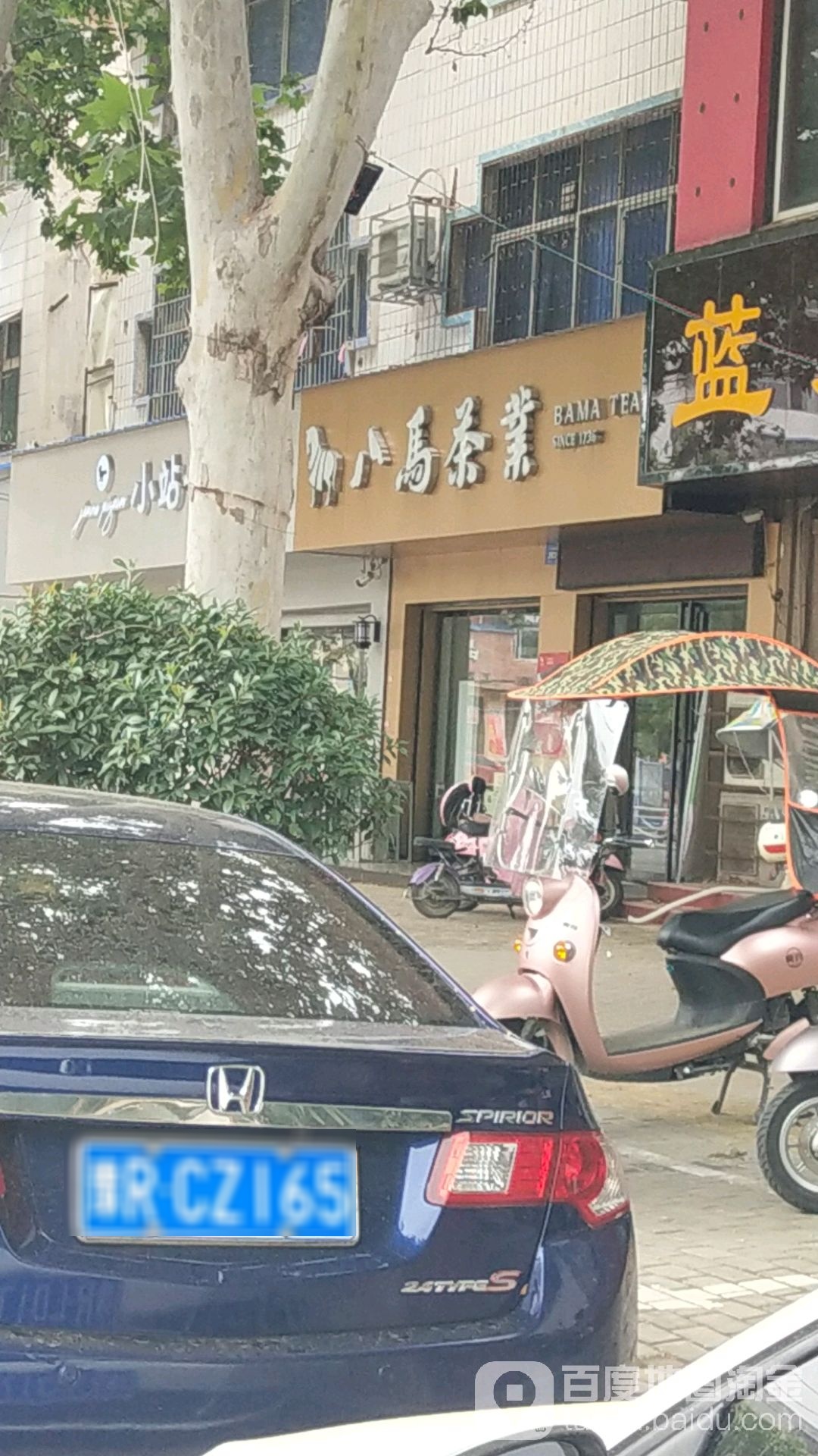 邓州市八马茶业(文化路店)