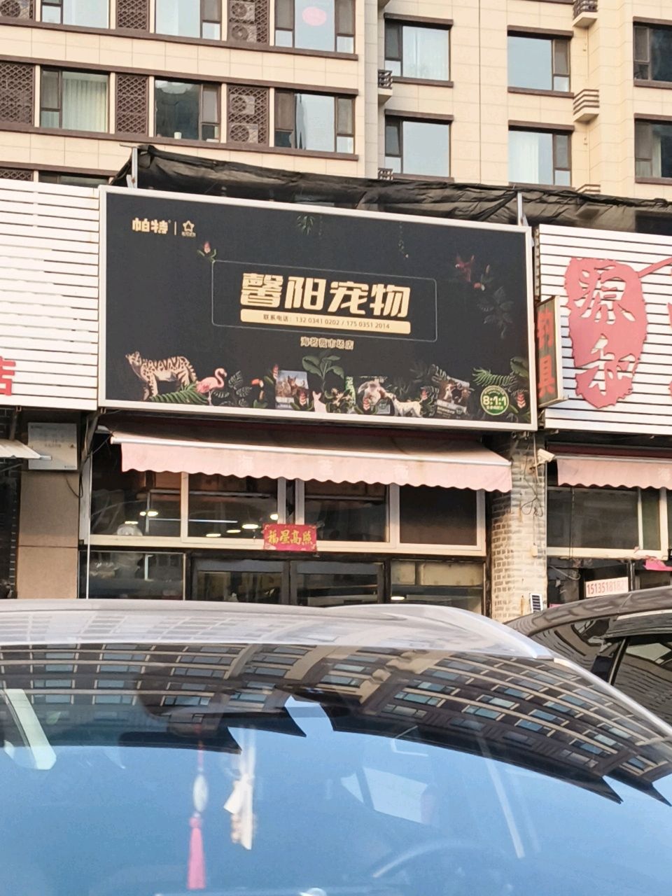 馨阳宠物