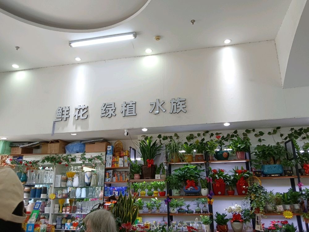 鲜花绿植水族